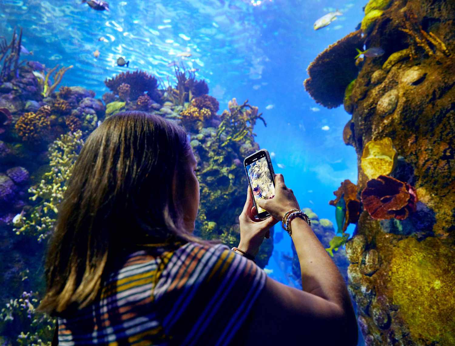 Aquarium Boardwalk