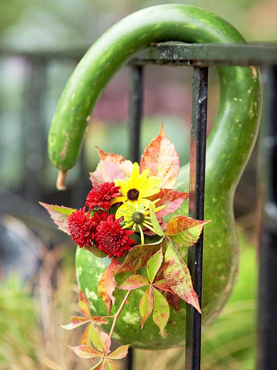 Hanging vase of gourds for fall display