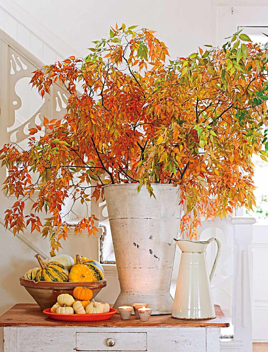 Gather leaves and branches for a fall display