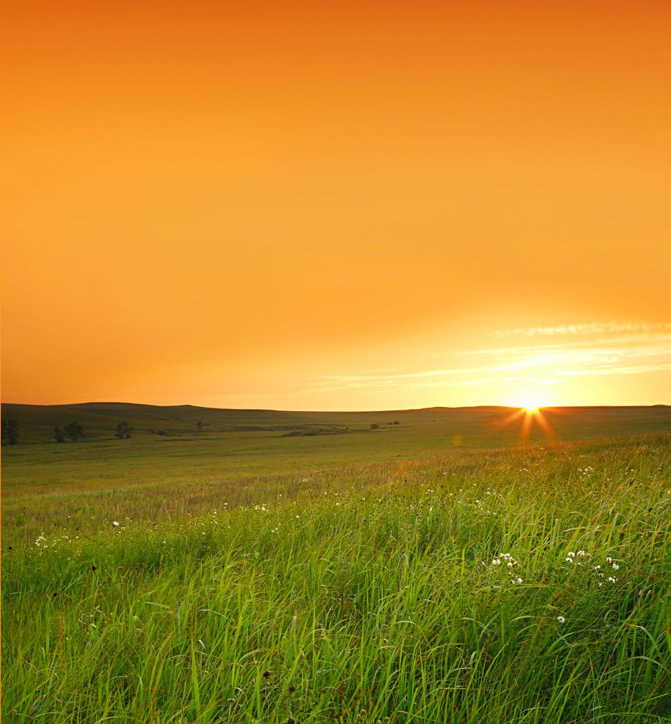 Tallgrass Prairie National Preserve