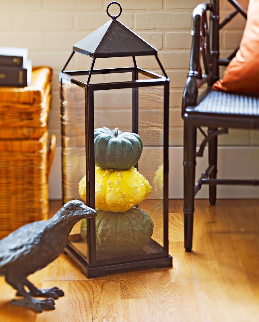 Pumpkins and raven for fall or Halloween decorating