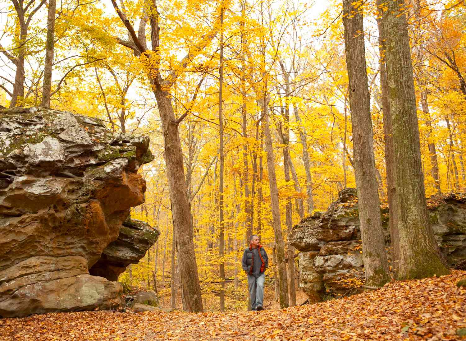 Giant City State Park near Makanda.