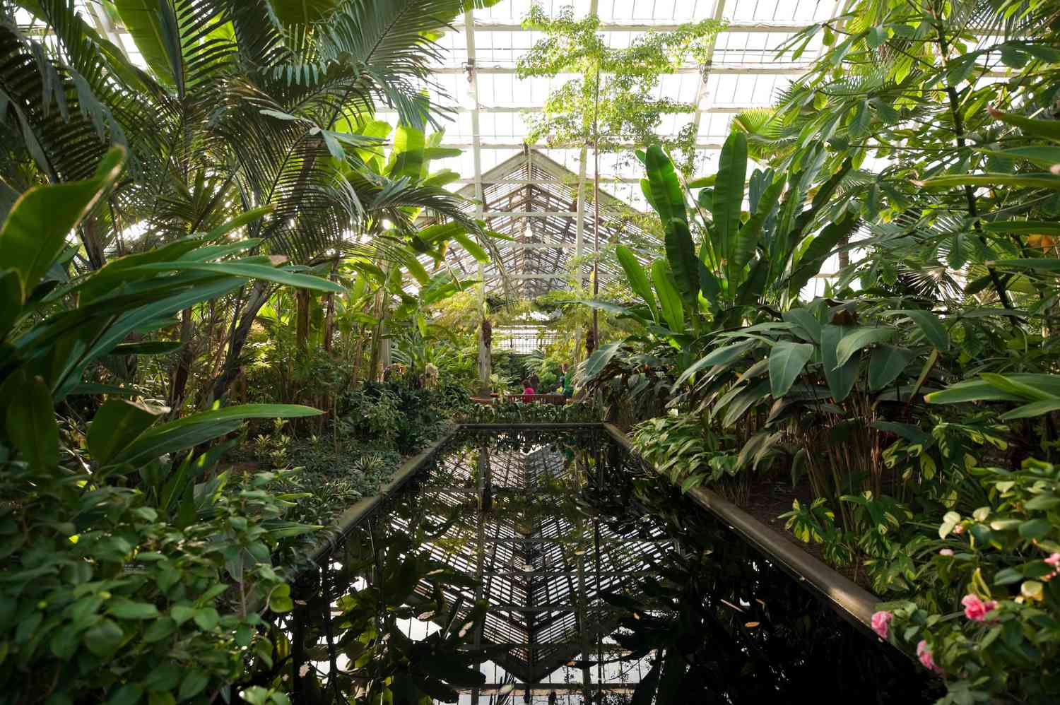 Garfield Park Conservatory Chicago