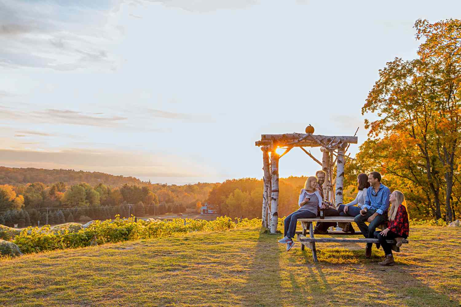 Pond Hill Farm, Michigan