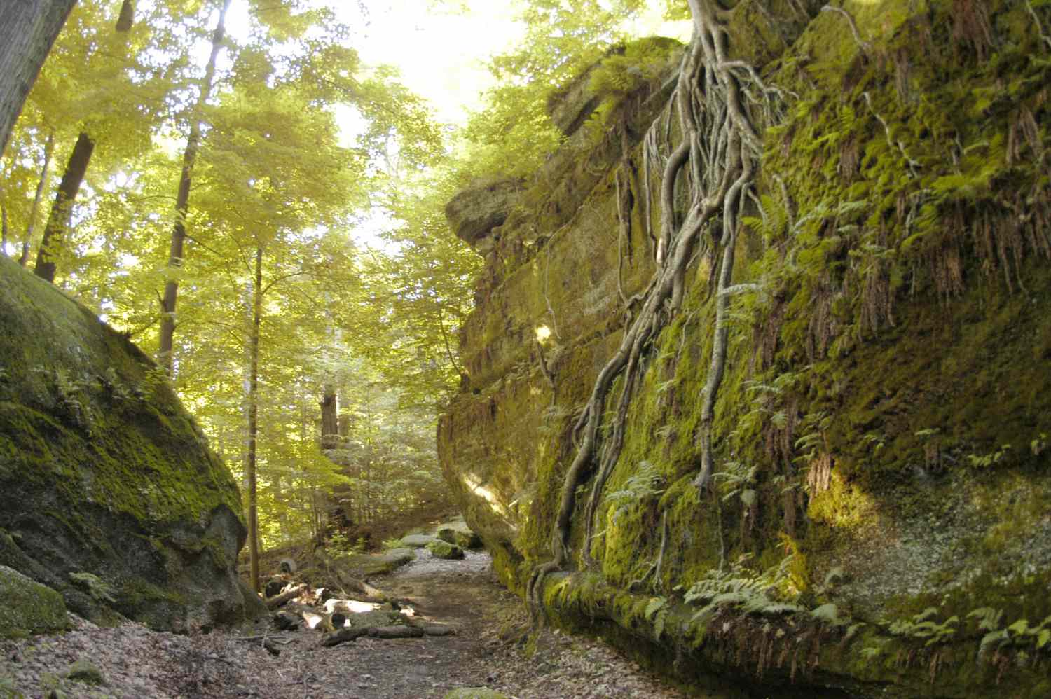 Nelson Kennedy Ledges State Park