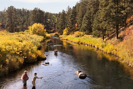 Fly fishing Black Hills South Dakota in fall