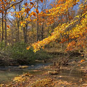 Fall staff road trips southern Illinois