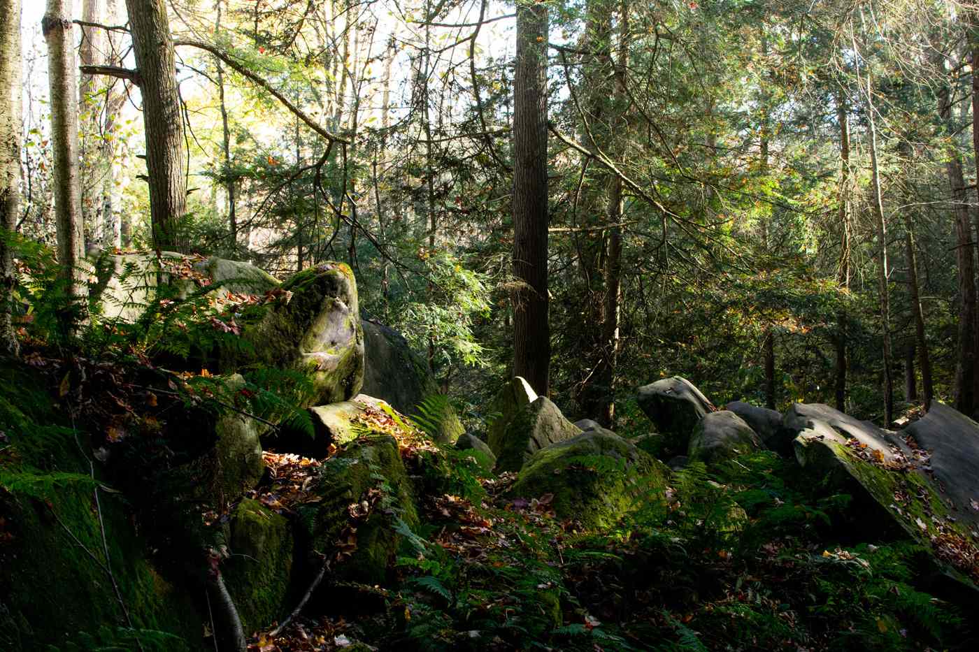 Cuyahoga Valley National Park