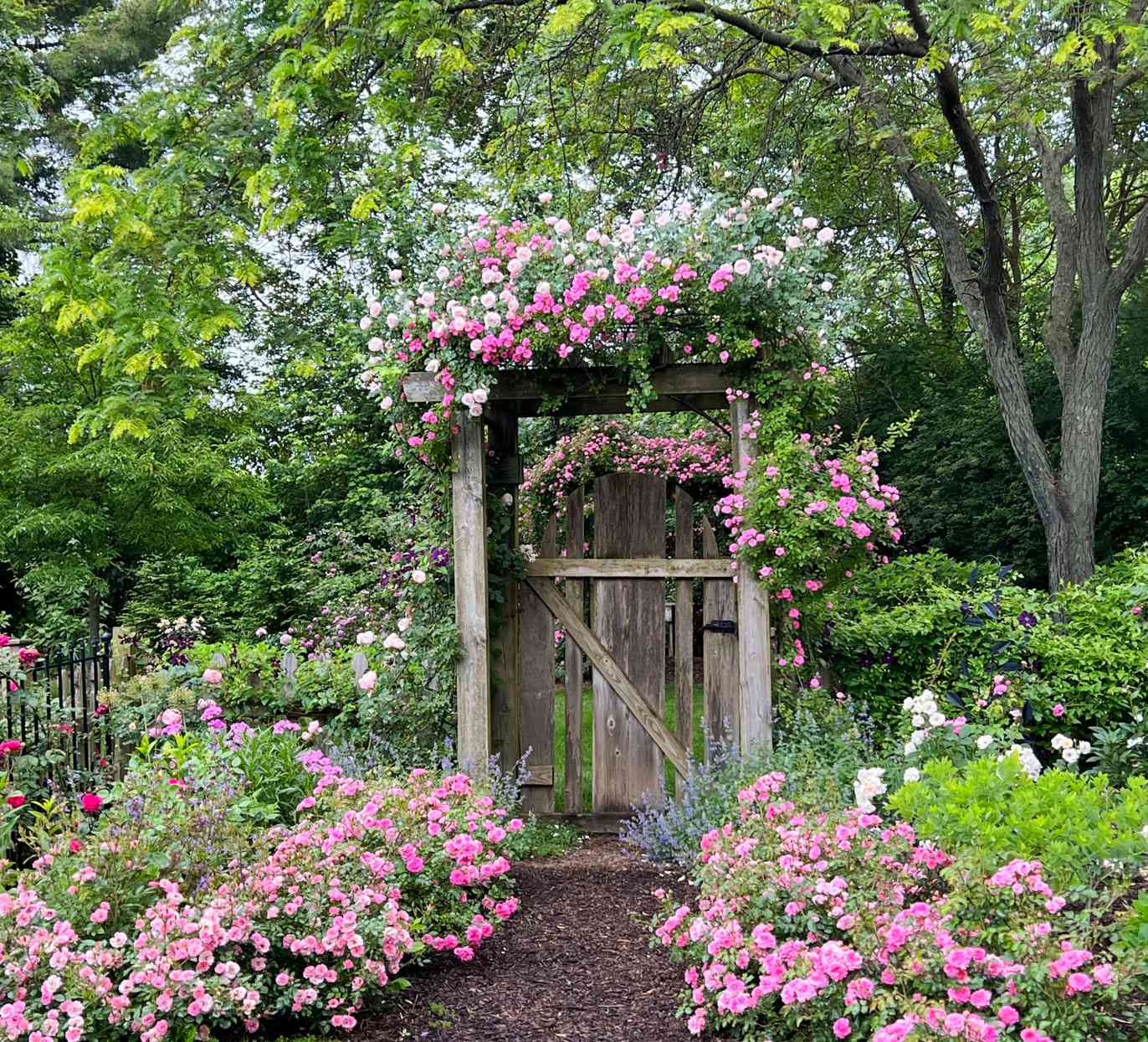 Bloom Thyme Cottage Garden