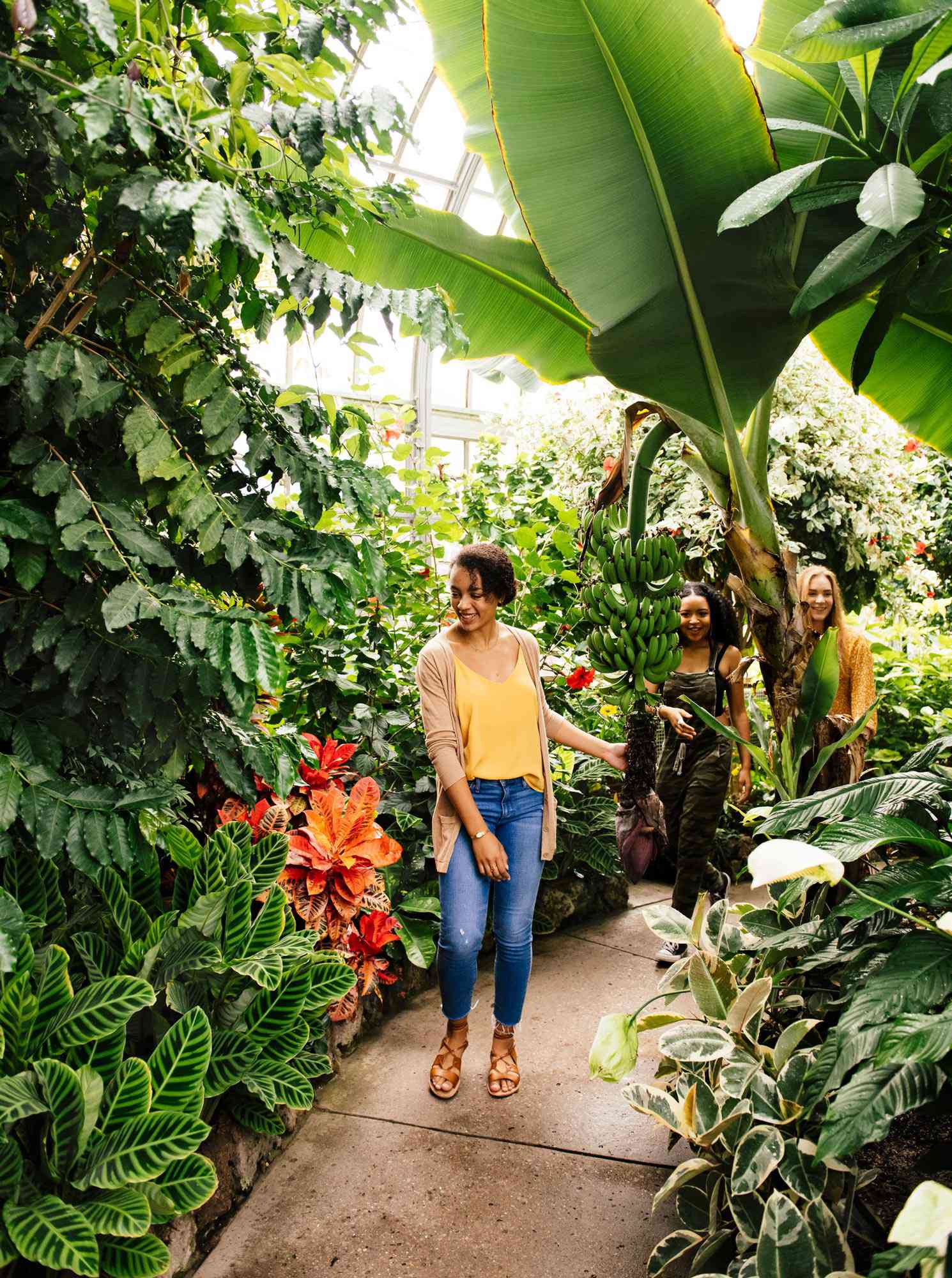 Anna Scripps Whitcomb Conservatory on Belle Isle