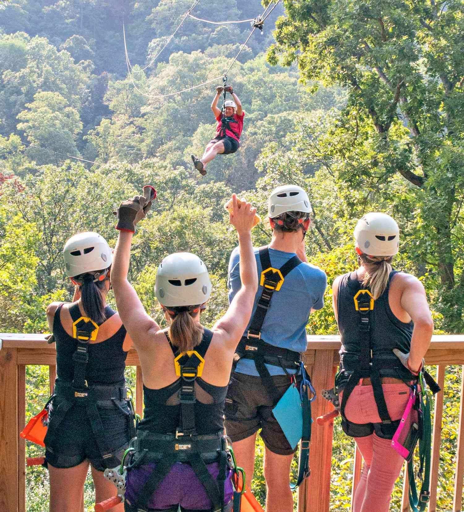 Grafton Zipline, Grafton