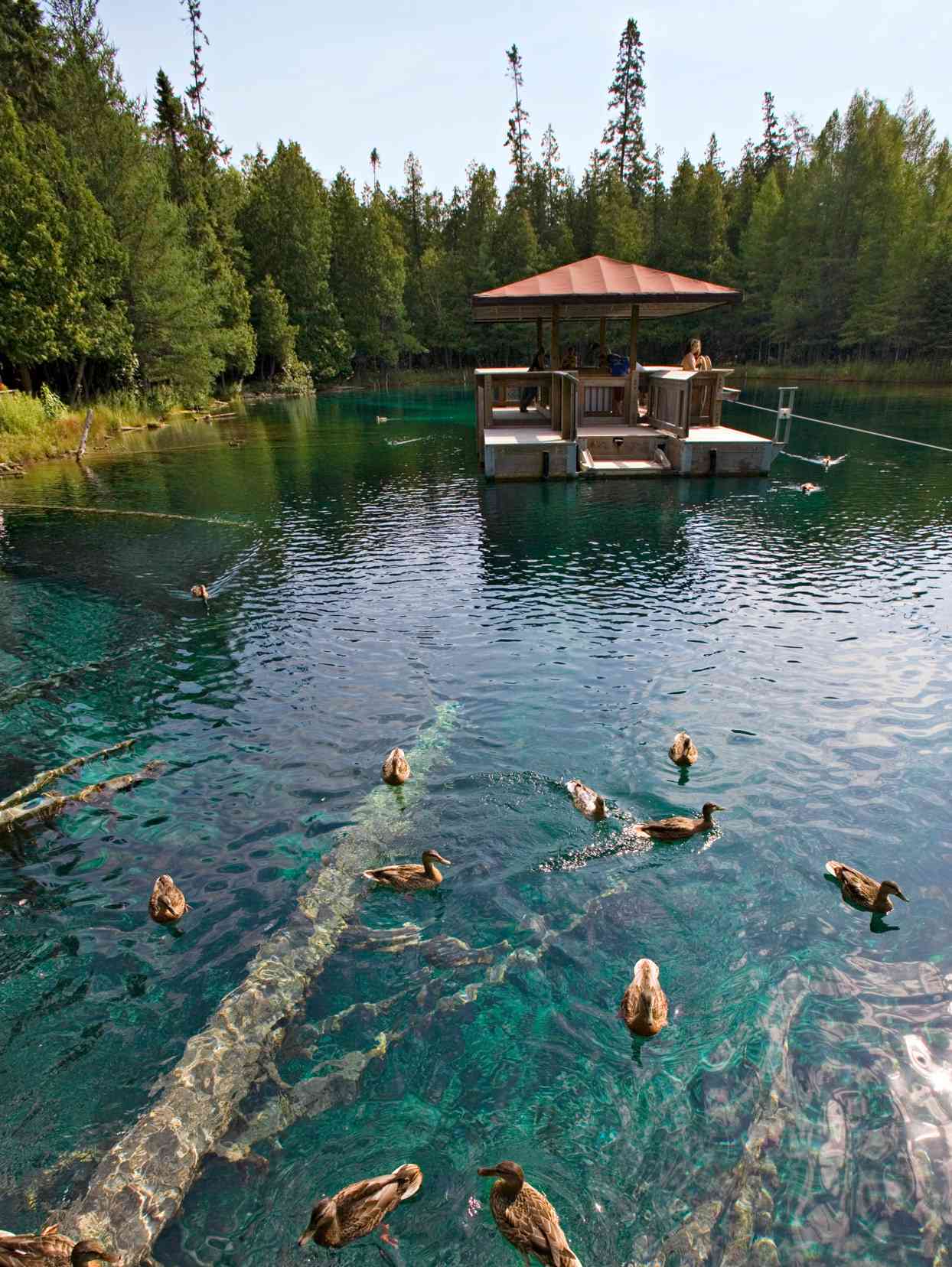 kitch-iti-kipi natural spring michigan