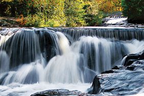 Bond Falls