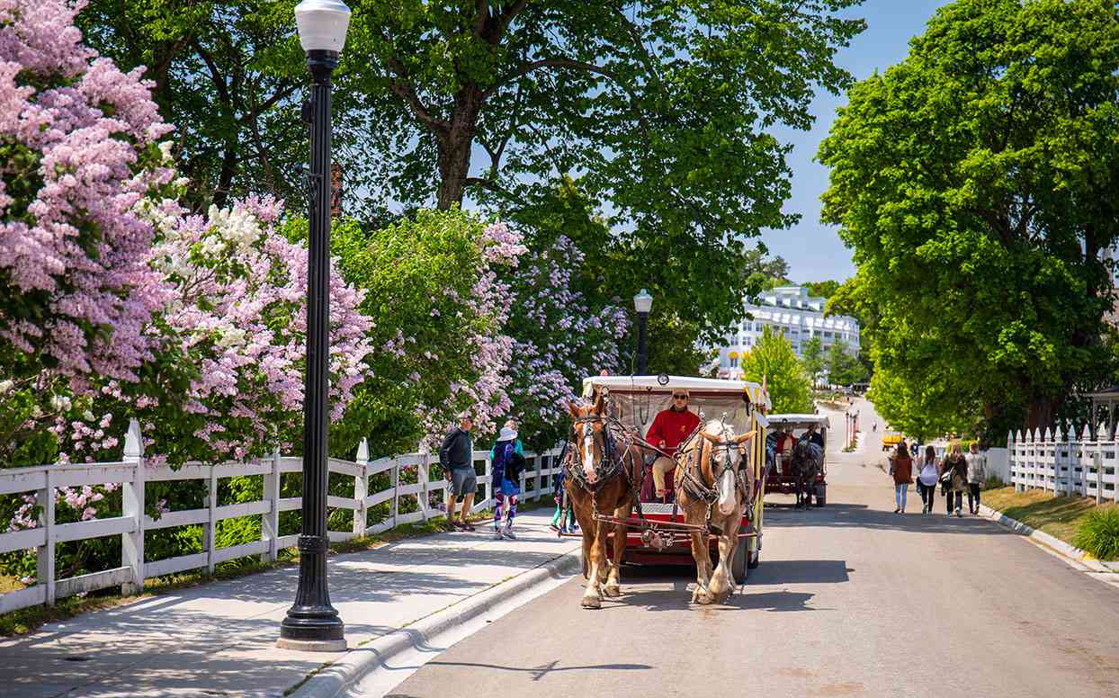 Lilac Festival in Mackinac Island, Michigan